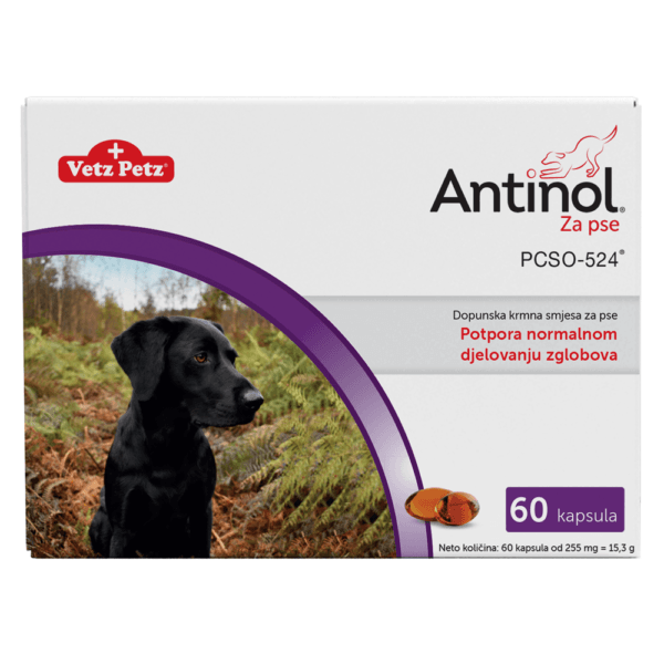 Antinol za pse 60 kapsula